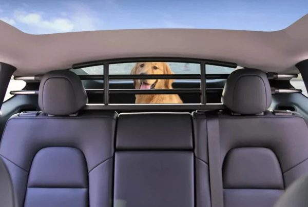 Pet Trunk Barrier for Tesla Model Y For Discount