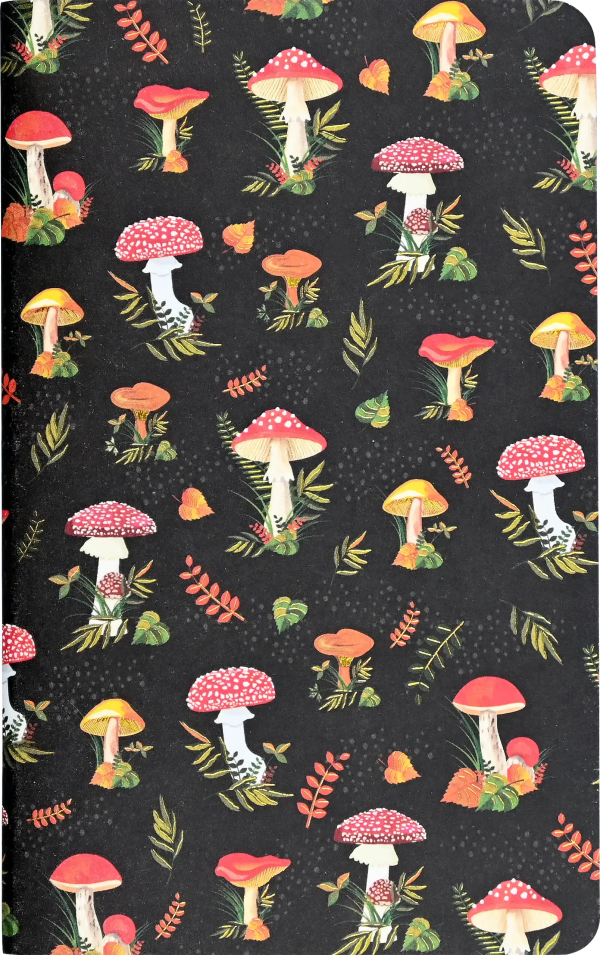 Jotter Mini Notebook Sets: Mushrooms Supply - Image 3