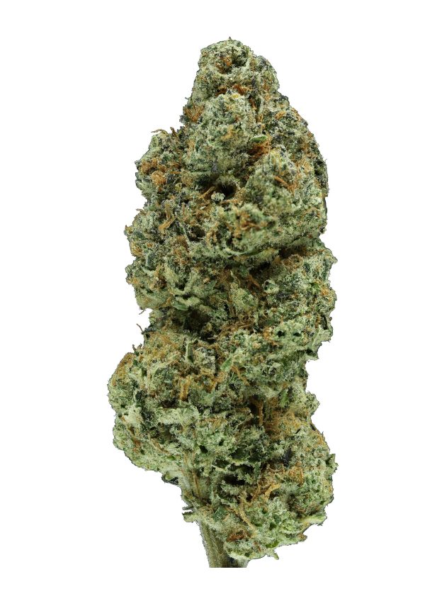 Cereal Milk THCa Flower Sale